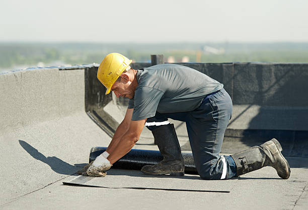 Best Eco-Friendly Insulation in Quincy, MA