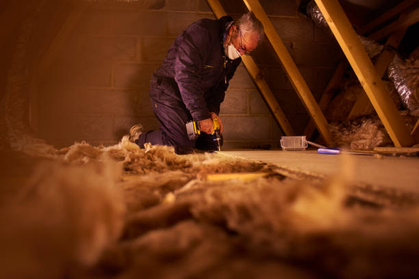 Best Specialized Insulation Services in Quincy, MA